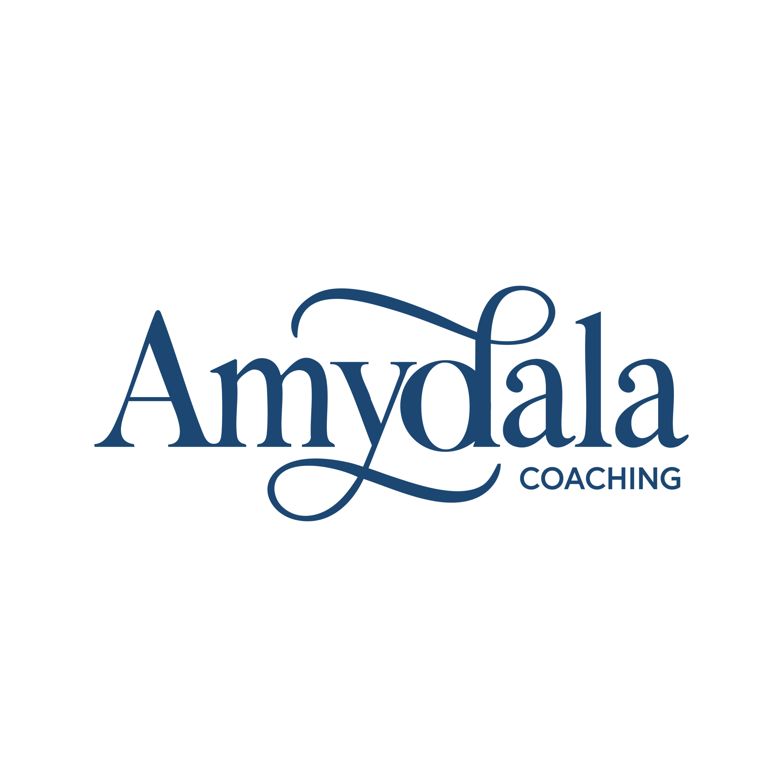 Amydala Coaching